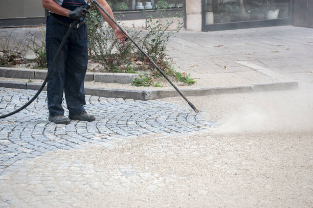 Best Restaurant Pressure Washing  in Ringgold, GA